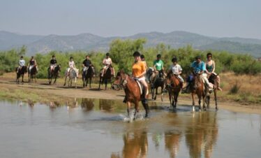 Horse Safari to Pamucak Beach