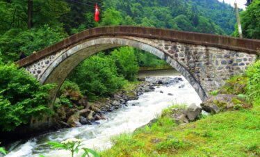 7-Day Green and Sunny Dreams Tour Experience