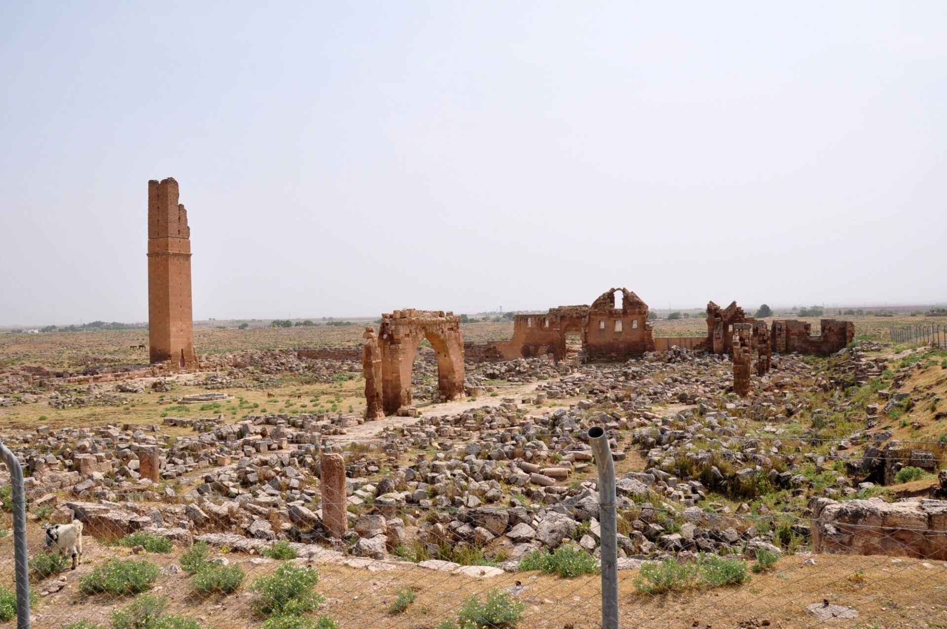 2-Day History Tour: Gobeklitepe and Harran from Istanbul