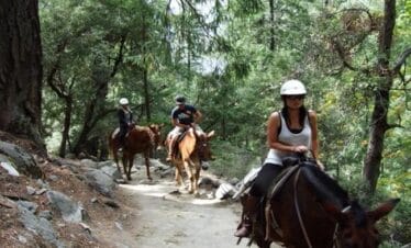 Horse Riding