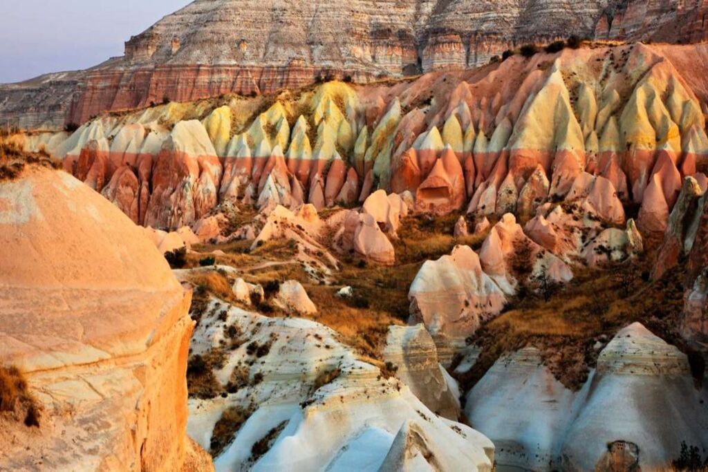 Rose Valleys
