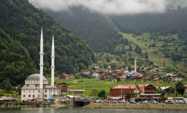 Green and Sunny Dreams: A 7-Day Adventure