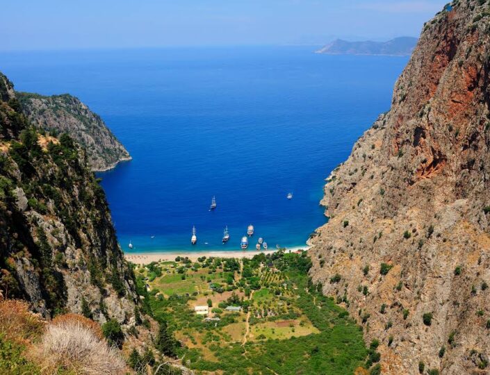 butterfly valley