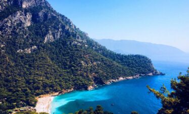 kabak koyu