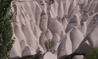 Honey Valley