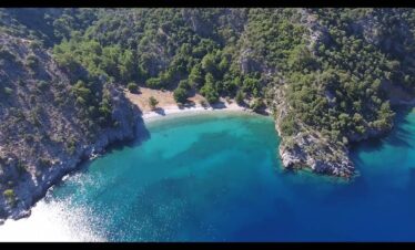 dalyan koyu