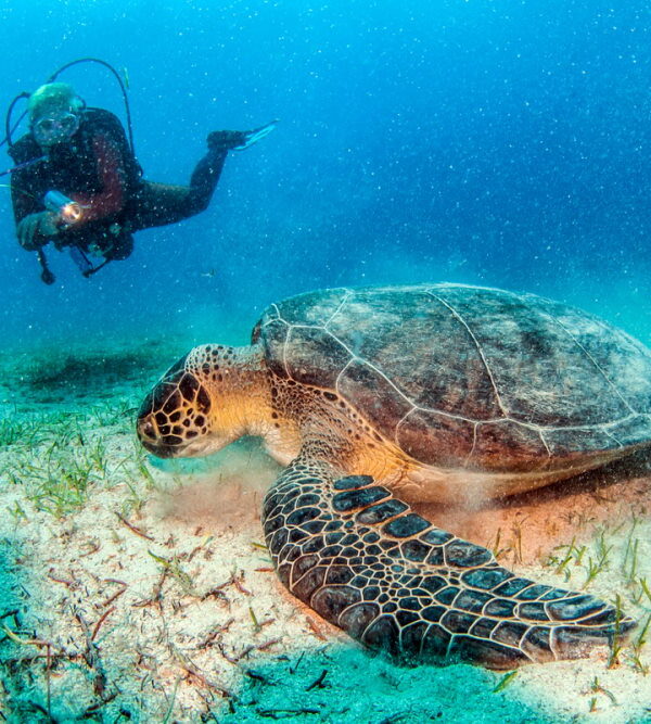 kas diving