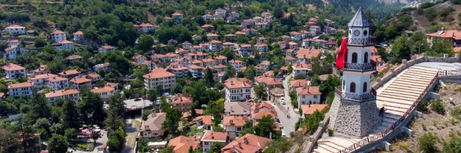 Bolu