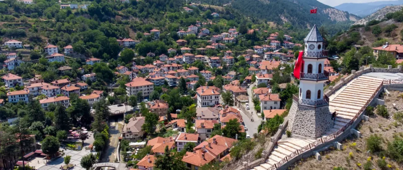 Bolu