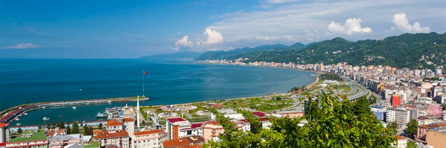 Rize